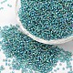 8/0 Round Glass Seed Beads&nbsp;SEED-J017-F8-000-1