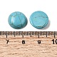 Synthetic Turquoise Cabochons&nbsp;G-P393-R64-12MM-3