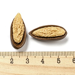 不透明樹脂デコデンカボション  イミテーションナット  シード  モカシン  25.5x11x9.5mm&nbsp;RESI-H156-02-21