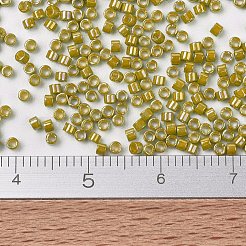 MIYUKIデリカビーズ  シリンダー  日本製シードビーズ  11/0  （db2272)不透明艶出しサンザシ  1.3x1.6mm  穴：0.8mm  約2000PCS /ボトル  10 G /ボトル&nbsp;SEED-JP0008-DB2272
