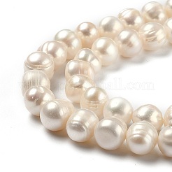 Natural Cultured Freshwater Pearl Beads Strands&nbsp;PEAR-L033-23-01