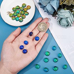 30Pcs 2 Style Translucent Glass Cabochons&nbsp;GLAA-SC0001-71
