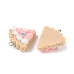 Opaque Resin Pendants&nbsp;FIND-Z092-01P-02