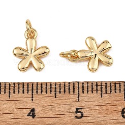 SHEGRACE Brass Pendants&nbsp;XGRQ3P140-578G