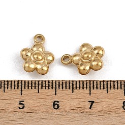 304 Stainless Steel Charms&nbsp;STAS-L022-559G