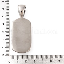 316 Surgical Stainless Steel Big Pendants&nbsp;STAS-Z073-56AS-02