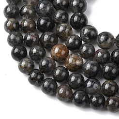 Natural Iolite Beads Strands&nbsp;G-K366-G02-01