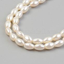 Electroplate Natural Freshwater Shell Beads Strands&nbsp;SHEL-T017-13A-01
