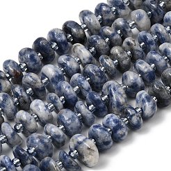 Natural Blue Spot Jasper Beads Strands&nbsp;G-L649-C01-01