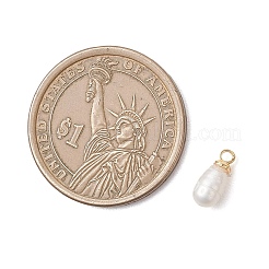 天然養殖淡水真珠ライスチャーム  真鍮のベイルと  ゴールドカラー  乳白色  8~10.5x4~4.5mm  穴：1.6mm&nbsp;PALLOY-JF04868