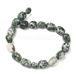 Natural Green Spot Jasper Beads Strands&nbsp;G-C286-A03
