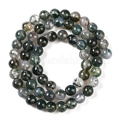 Natural Moss Agate Bead Strands&nbsp;X-G-J358-01-6mm