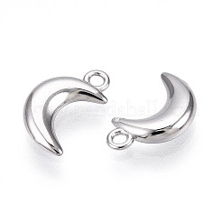 304 Stainless Steel Charms&nbsp;STAS-N109-138P