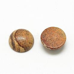 天然石ピクチャージャスパーカボション  半円/ドーム  8x4mm&nbsp;G-R416-8mm-42