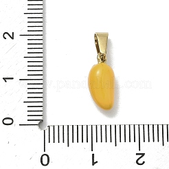 304 Stainless Steel Enamel Fruit Vegetable Charms&nbsp;STAS-F336-02H-G