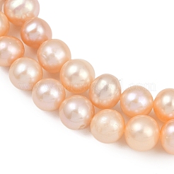 Natural Cultured Freshwater Pearl Beads Strands&nbsp;PEAR-I007-07X-02B