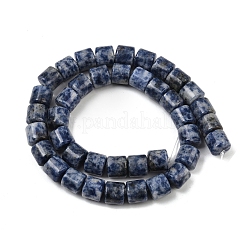 Natural Blue Spot Jasper Beads Strands&nbsp;G-G275-D21-10x10mm