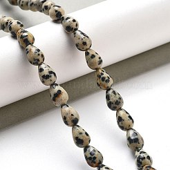 Natural Dalmatian Jasper Beads Strands&nbsp;G-B106-A29-01