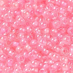 Glass Seed Beads&nbsp;SEED-H002-L-A238