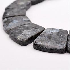 天然ラルビカイトの段階的ビーズ連売り  台形  16~34x23~28x5~6mm  穴：1mm  約15個/連  12.2インチ&nbsp;G-P296-F01