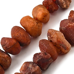 Natural Carnelian Beads Strands&nbsp;G-I283-F09