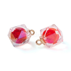 Acrylic Pendants&nbsp;TACR-C021-01