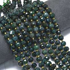 Natural Moss Agate Beads Strands&nbsp;G-K389-E24-01
