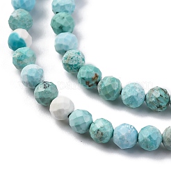 Natural HuBei Turquoise Beads Strands&nbsp;G-B130-A01-03