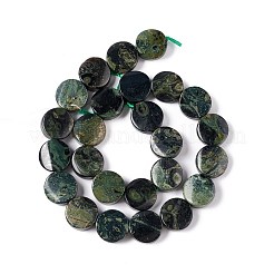 天然カンババジャスパービーズ連売り  ツイストフラットラウンド  16x6~7mm  穴：1mm  約25個/連  15.75''（40センチメートル）&nbsp;G-O120-16