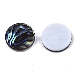 Natural Abalone Shell/Paua Shell Cabochons&nbsp;SSHEL-N034-72A-01
