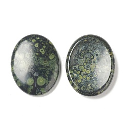 Natural Kambaba Jasper Worry Stone for Anxiety Therapy&nbsp;G-B036-01M