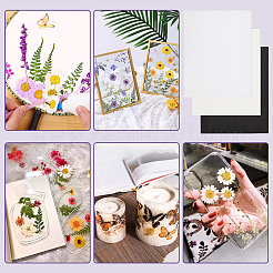 吸取紙セット  ドライフラワー作り用スポンジ付き  フラワープレス用品  長方形  ホワイト  250x200x3mm&nbsp;DIY-WH0632-21B