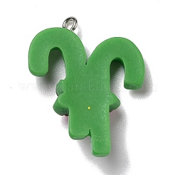 Opaque Resin Pendants&nbsp;RESI-D055-011P