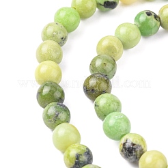 Natural Serpentine Beads Strands&nbsp;G-N166-6