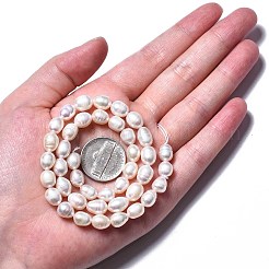 天然養殖淡水パールビーズ連売り  ライス  貝殻色  7.5~11x6.5~7mm  穴：0.8mm  約40~42個/連  13.58 ~14.29''（34.5cm〜36.3cm）&nbsp;PEAR-N012-06T