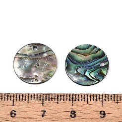 天然パウア貝のディスクチャーム  15x1~1.5mm  穴：1.2~1.5mm&nbsp;SSHEL-N040-19B