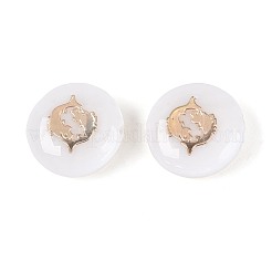 Natural Freshwater Shell Beads&nbsp;SHEL-N037-02C-G