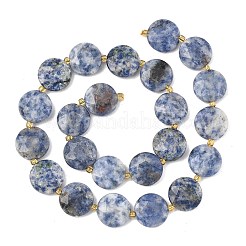 Natural Blue Spot Jasper Beads Strands&nbsp;G-A292-A10-01