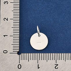 S925 Sterling Silver Blank Charms&nbsp;LS-STER-Q006-06C-S