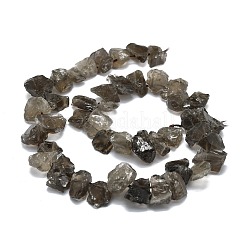 Raw Rough Natural Smoky Quartz Beads Strands&nbsp;G-E576-24