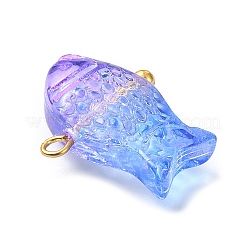 Transparent Spray Painted Glass Pendents&nbsp;PALLOY-JF02117