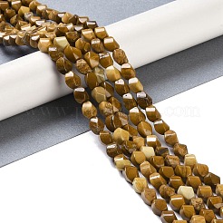 天然石翡翠ビーズ連売り  ツイスト  8.5x5.5x5.5mm  穴：0.5mm  約47~49個/連  15.75''~15.94''（40~40.5センチメートル）&nbsp;G-K362-F02-01