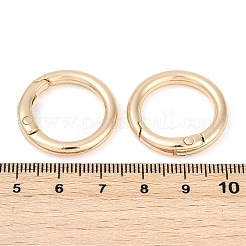 合金スプリングゲート留め具  長持ちメッキ  ラックめっき  ライトゴールド  24.5x4.5mm&nbsp;FIND-H012-05KCG