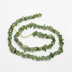 さざれ石の天然のグリーンアパタイトビーズ連売り  3~8x3~12x3~5mm  穴：1mm  約16インチ&nbsp;X-G-N0164-26