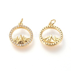 Brass Micro Pave Clear Cubic Zirconia Charms&nbsp;X-ZIRC-L098-025G