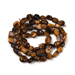 Natural Tiger Eye Beads Strands&nbsp;G-Q060-D08