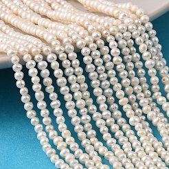 天然養殖淡水パールビーズ連売り  ポテト  グレード4a++  雪  2~2.5mm  穴：0.5mm  約161~173個/連  15.08~15.35''（38.3~39センチメートル）&nbsp;PEAR-L034-14A