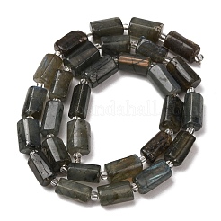 Natural Labradorite Beads Strands&nbsp;G-F836-B06-02