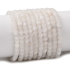 Natural Rainbow Moonstone Beads Strands&nbsp;G-B190-A01-01