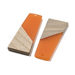 Resin & Walnut Wood Pendants&nbsp;RESI-XCP0002-16A